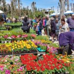 Μέχρι και την Κυριακή 12 Μαΐου η έκθεση  «Φυτά & Κήπος» στο Άλσος Περιστερίου