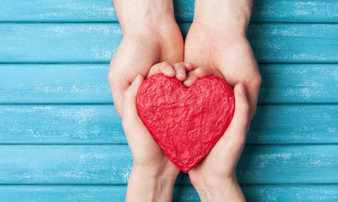 Woman and man hands holding red shape of heart. Saint valentine day background. Relationship, family and donorship concept.