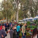 Μέχρι και την Κυριακή 15 Μαΐου η έκθεση  «Φυτά & Κήπος» στο Άλσος Περιστερίου
